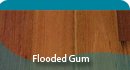 flooded gum