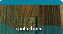 spotted gum